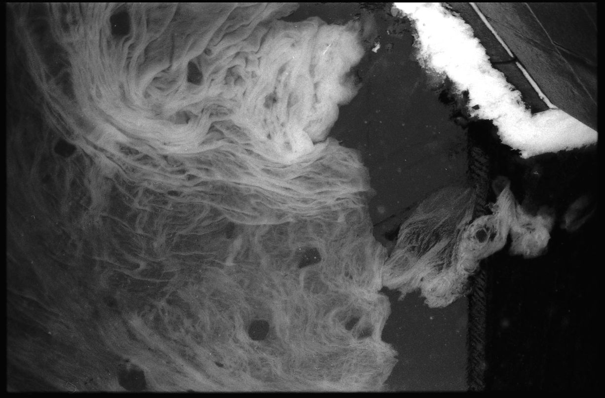 Маша Терентьева | 