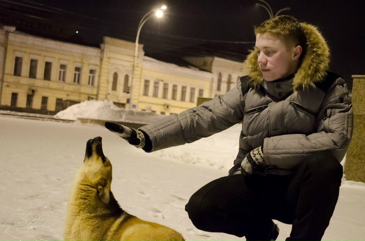 Алексей Мамонтов | 
