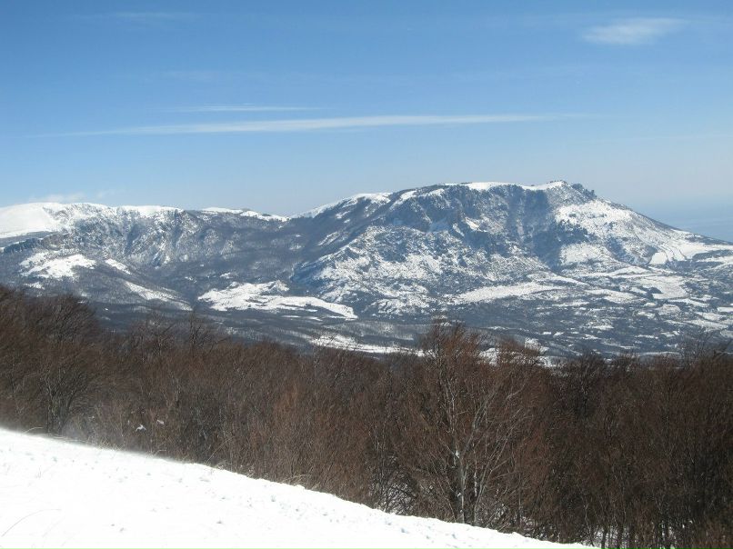 Алёна Шарая Миколаївна | Кривой Рог