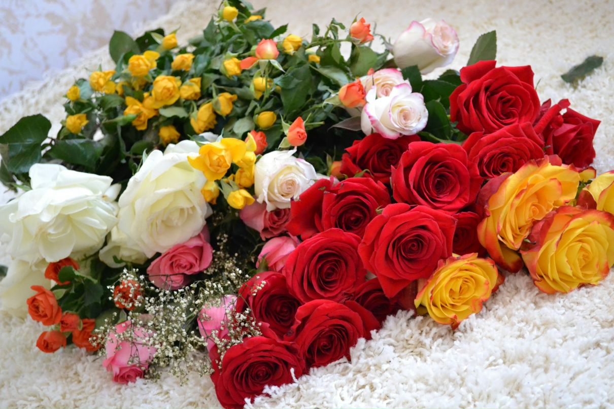 Юлия Силенок | Конаково