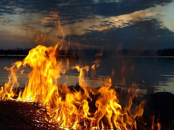 №12, Данил Калининградский №12, Данил Калининградский