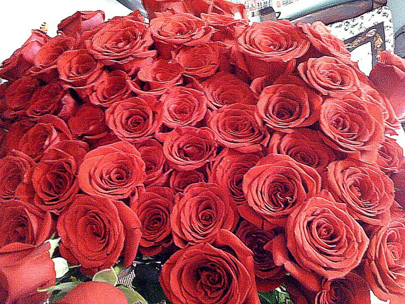 №16, Елизавета Тарасова, Москва, Россия №16, Елизавета Тарасова, Москва, Россия