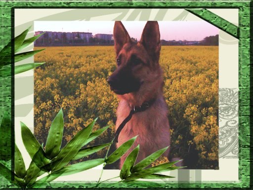 Римма Оводнева Ri-a | Санкт-Петербург