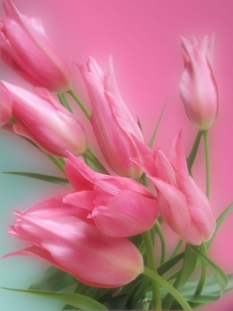 Раиля Уткина | Казань