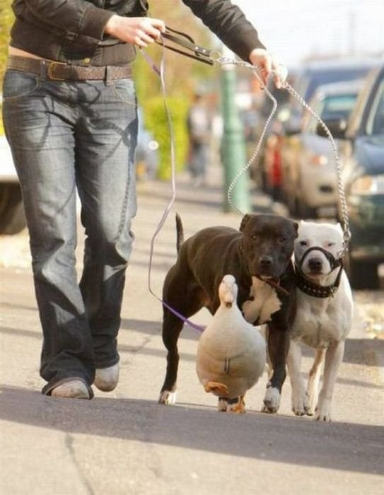 Олег Корбут | Харьков