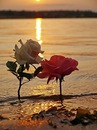 №28 Светлана Щукина 29.03.1989: профиль, фото, статус - ВКонтакте