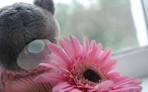 Tomka Mikava [ツ] | Одесса