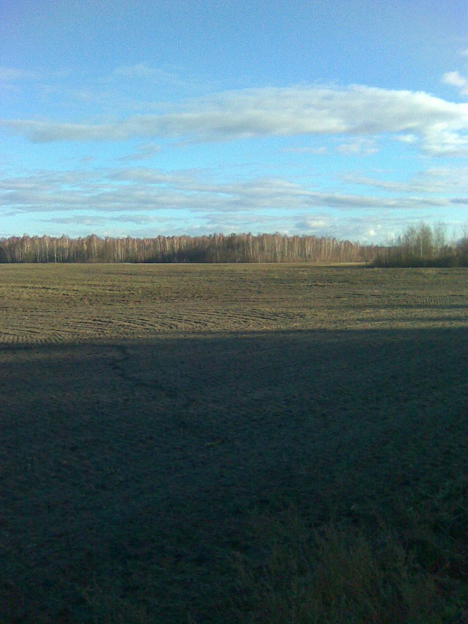 Иван Дробов | Санкт-Петербург