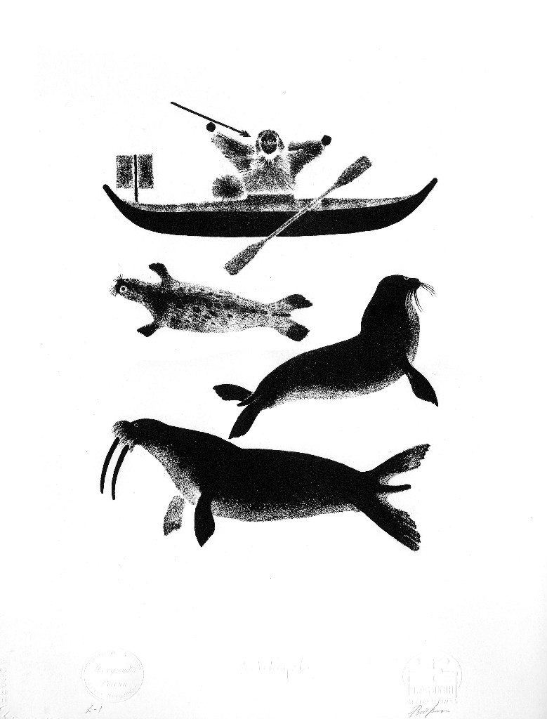 Арсений Андрианов | Санкт-Петербург