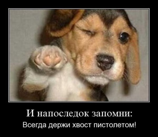 Алексей Литовка | Никополь