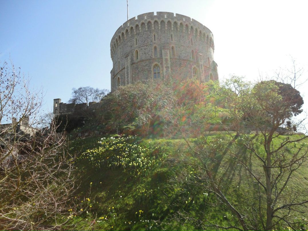Анна Сватовская | Санкт-Петербург