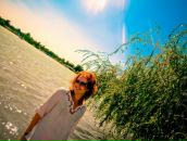 №31 Примула Болгер 23.03.1988: профиль, фото, статус - ВКонтакте №31 Примула Болгер 23.03.1988: профиль, фото, статус - ВКонтакте