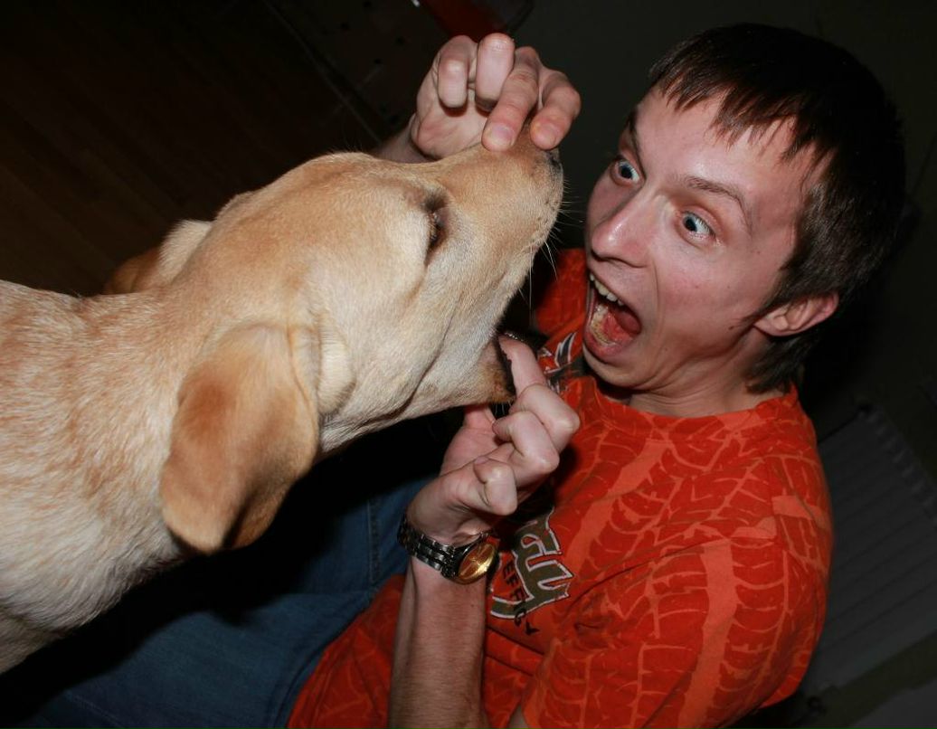 Никита Архиереев (Архиша) | Киев