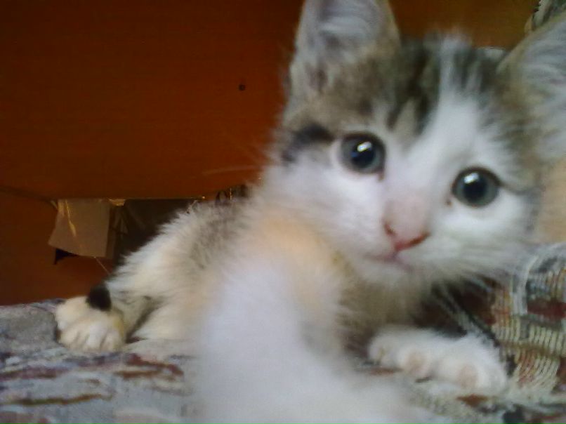 Санька Родионова | Москва