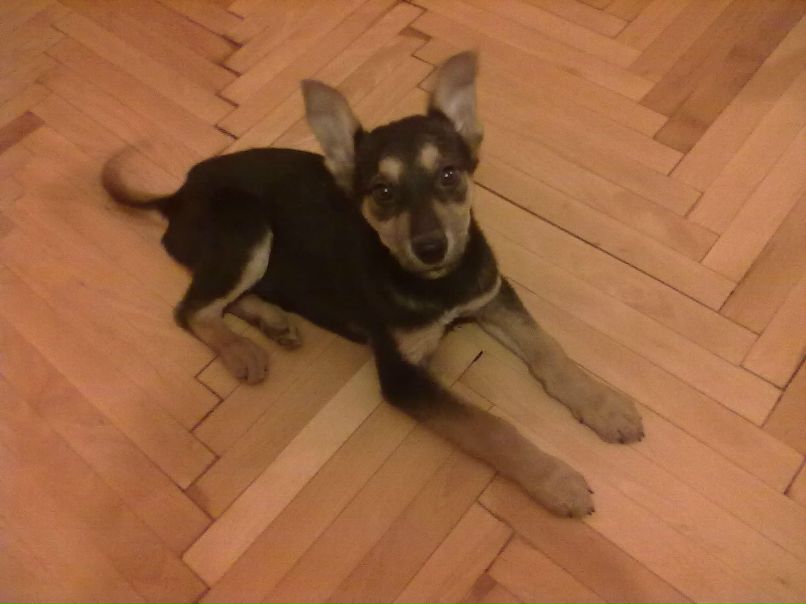 Санька Родионова | Москва