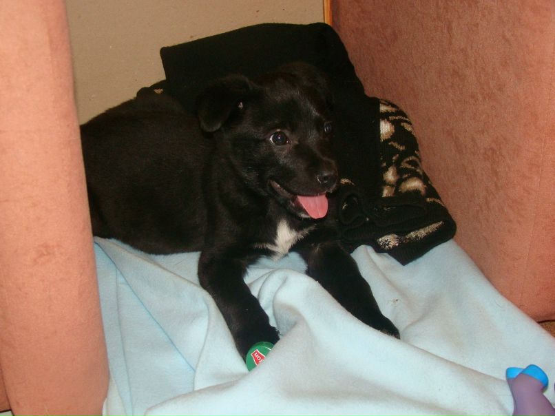 Санька Родионова | Москва