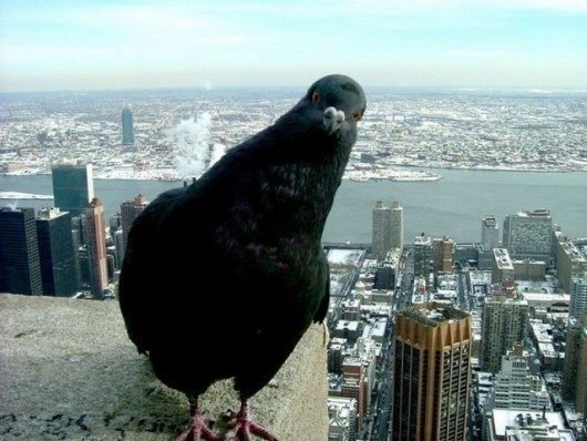 Федор Смоленков | Красноярск