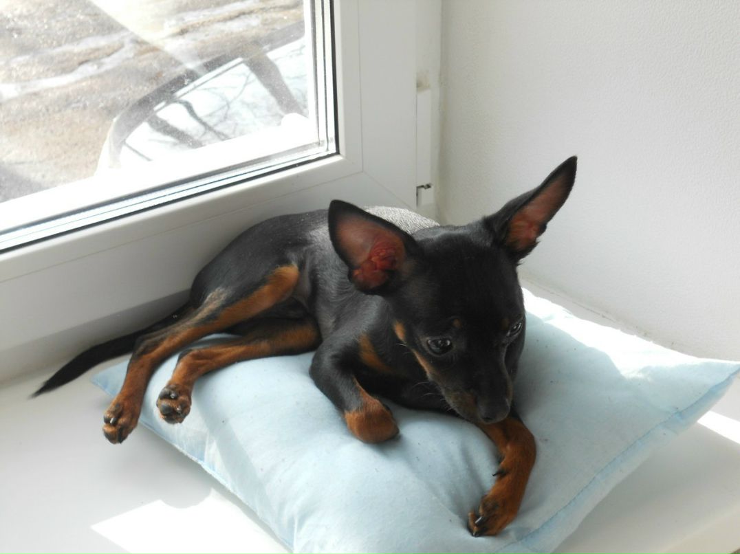 Margo Tixonova | Псков