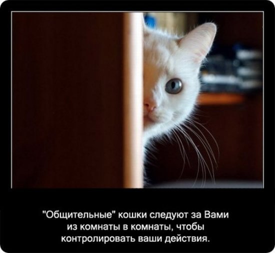 Ольга Банкова | Пенза