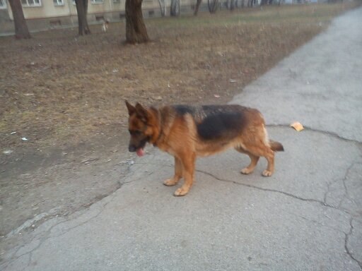 Алексей Кузьминых Валерьевич | Новосибирск