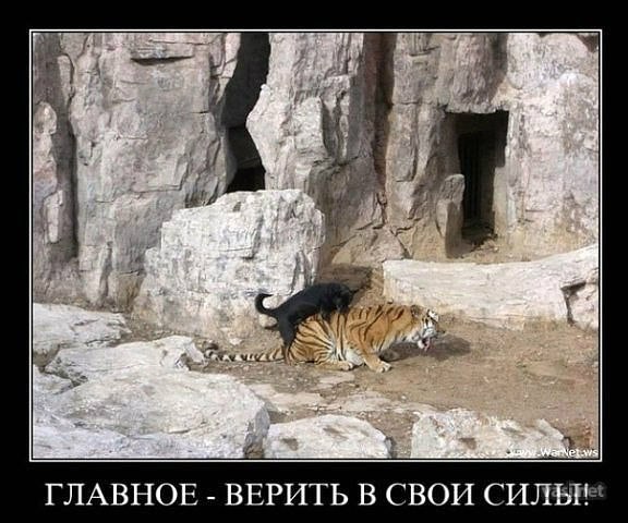 Евгения Пронина-Трифонова | Калининград