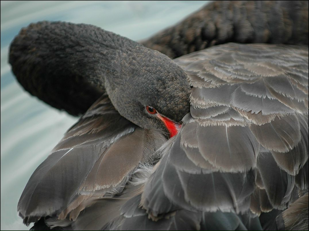 Оля Кочеулова | Москва