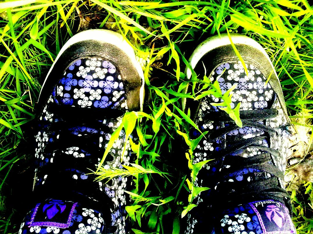 Юлия Алехина | 