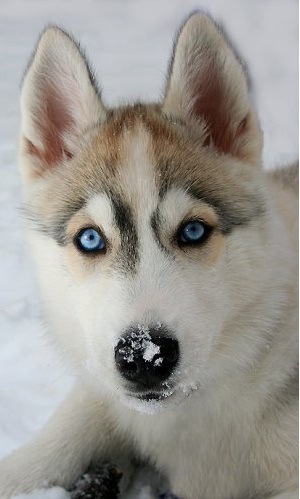 №87, Руслан Ткачук, Черкассы №87, Руслан Ткачук, Черкассы