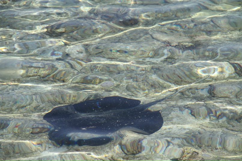 Марина Шеперкина | Чкаловск