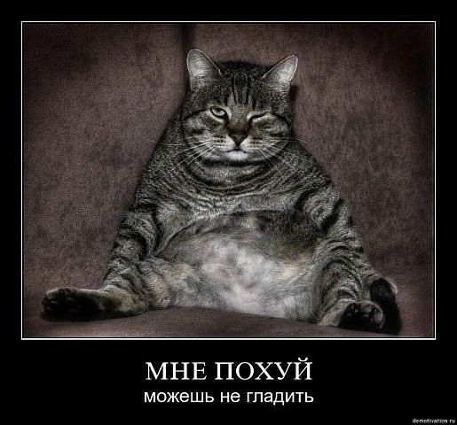 Ronaldo Хлудов | 