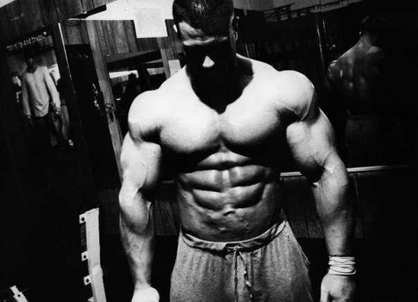 Андрей Колесник | Москва