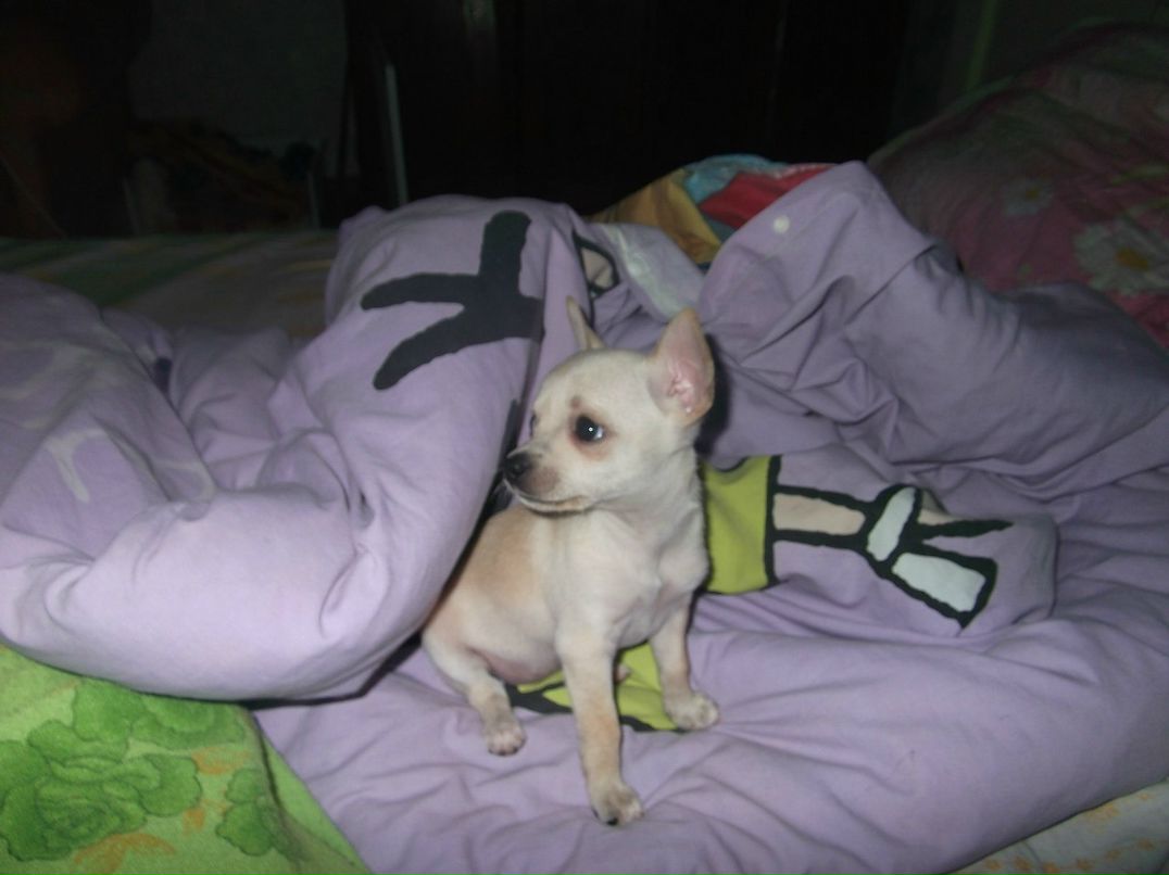 Настенька Латушко THE BESTолочь | Wrocław