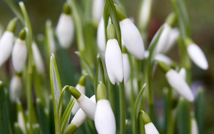 Лейла Кусаинова | Астана / Нур-Султан