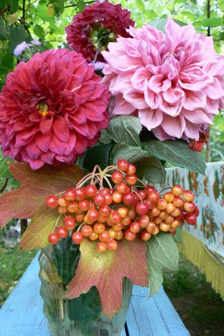 Елена Барукова | 