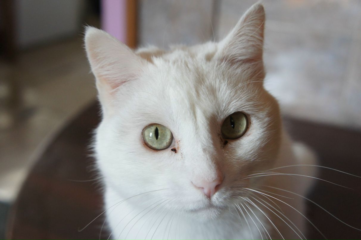 Саня Островский | Хабаровск