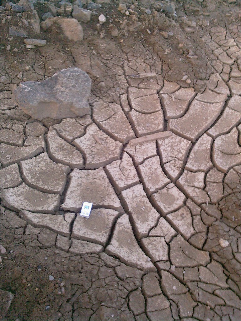 Евгений Владимиров | Минусинск