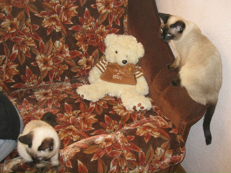 Марина Маркова | Санкт-Петербург