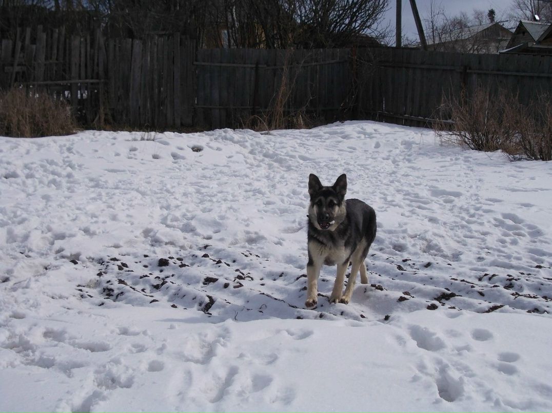Ангелина Маркелова •¸•▪♥ ЛюБлЮ и ЛюБиМа♥▪•¸• | Боровичи