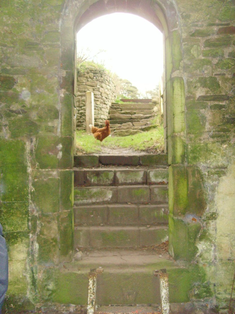 Raymond Adams | Perth