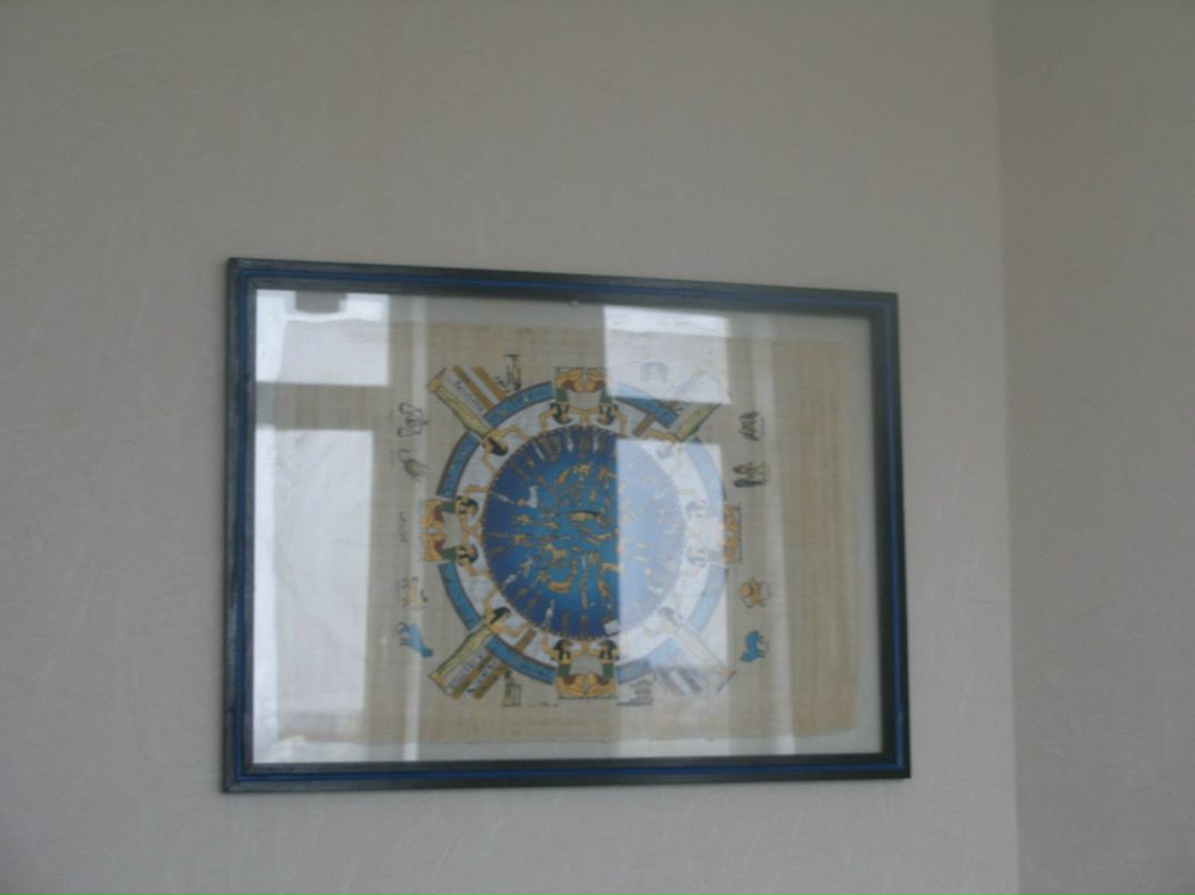 Аня Нюта Регги | 