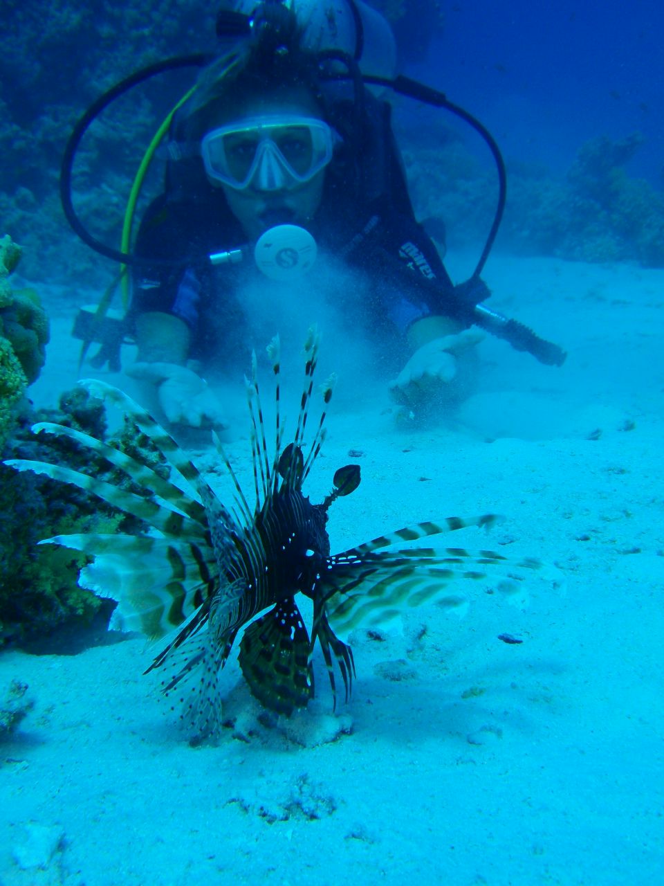 Анна Прокопчук | Житомир