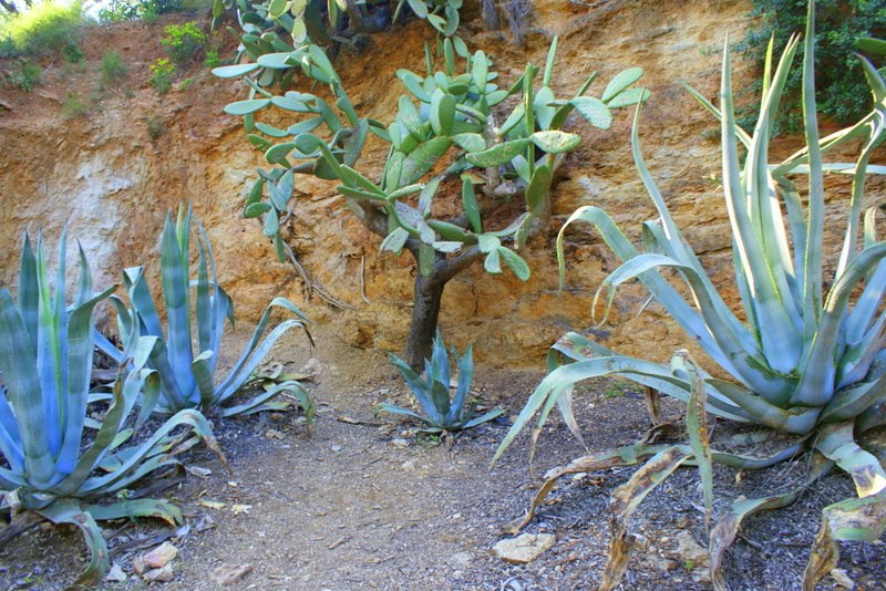 Ingalyator Kalkulyator | Калининград