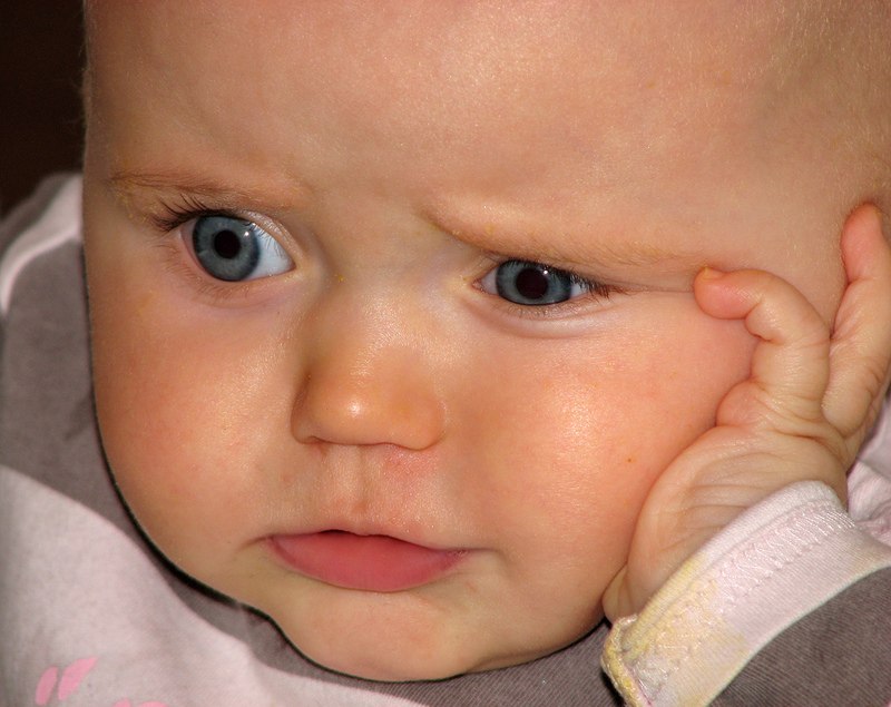 Павлина Брейнин | Хайфа