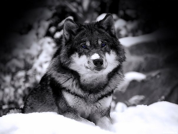 Кристина Сенькевич | Минск