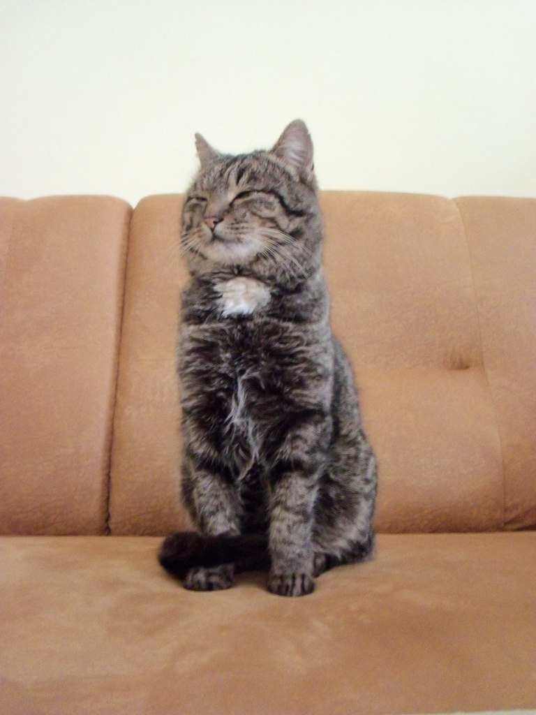 Ольга Белинская | Верхнеднепровск