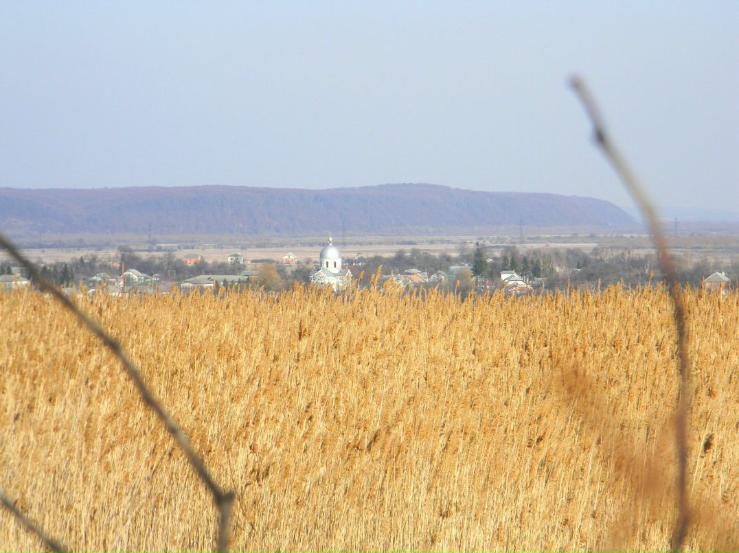 Ірина Гірка | Киев