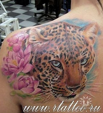 Заза Киут | Санкт-Петербург