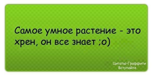 №20, Петро Клюса, 29 лет, Praha №20, Петро Клюса, 29 лет, Praha
