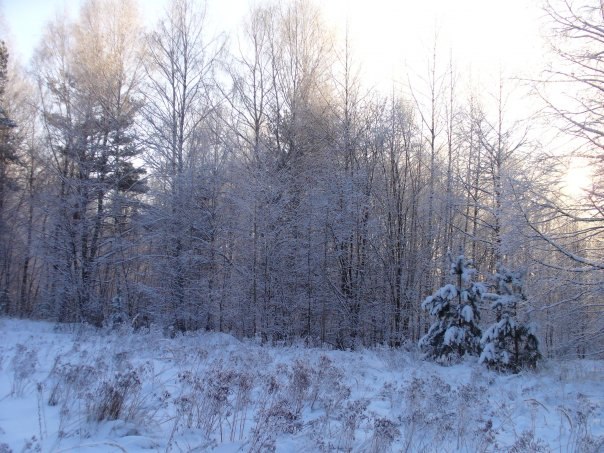 Ольга Воробьёва | Москва