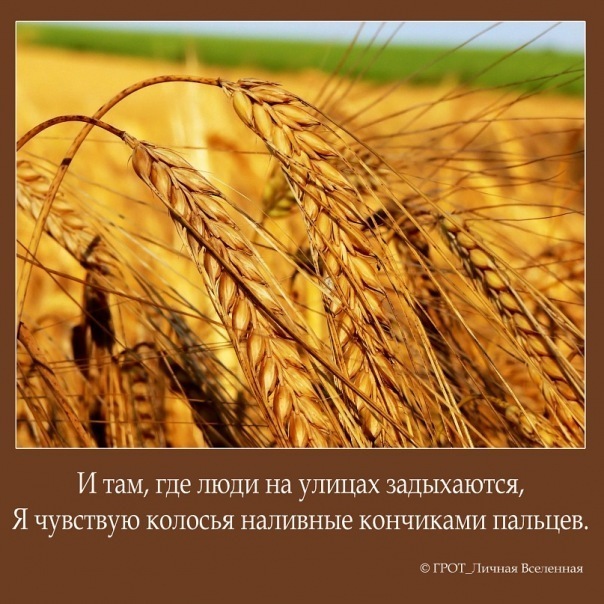 №49, Владимир Камуза, 35 лет, Мариуполь №49, Владимир Камуза, 35 лет, Мариуполь